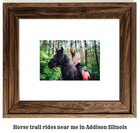 horse trail rides near me in Addison, Illinois